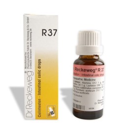 Dr. Reckeweg R37 Colinteston Gotas (50 ml) | Farmacia Tuset