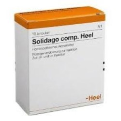 Heel Solidago Compositum 5 Ampollas | Farmacia Tuset