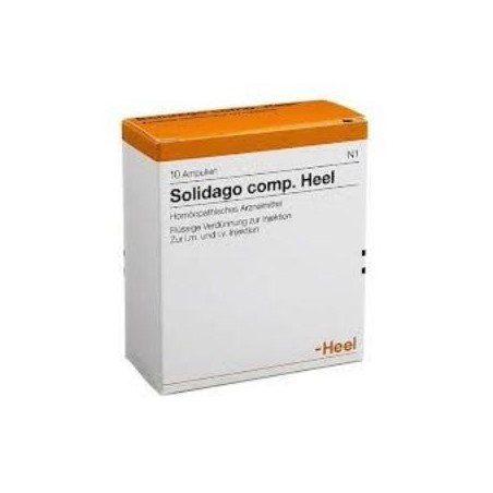 Heel Solidago Compositum 5 Ampollas | Farmacia Tuset