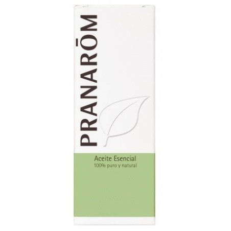 Pranarom Aceite Esencial Artemisa Blanca (10 ml) | Farmacia Tuset