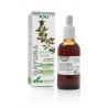 Soria Natural Gayuba Extracto S XXI 50ML | Farmacia Tuset