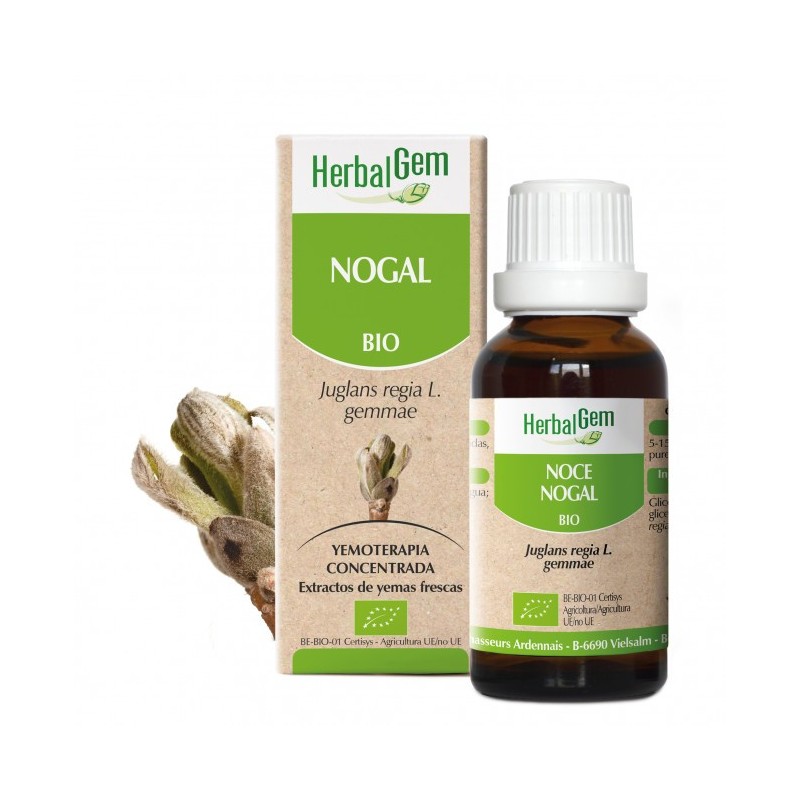  Herbalgem Nogal Bio 15ml | Farmacia Tuset