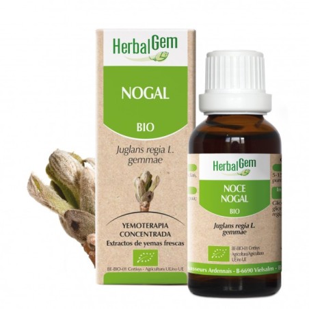  Herbalgem Nogal Bio 15ml | Farmacia Tuset