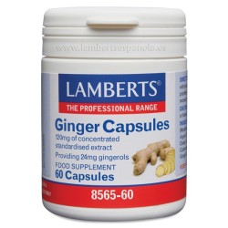 Lamberts Ginger (Jengibre) (60 cápsulas) | Farmacia Tuset