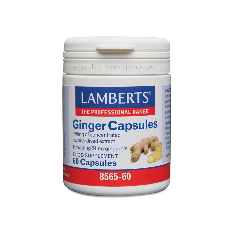 Lamberts Ginger (Jengibre) (60 cápsulas) | Farmacia Tuset