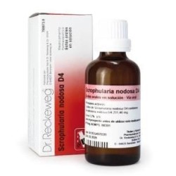 Dr. Reckeweg Scrophularia Nodosa D4 (50 ml) | Farmacia Tuset