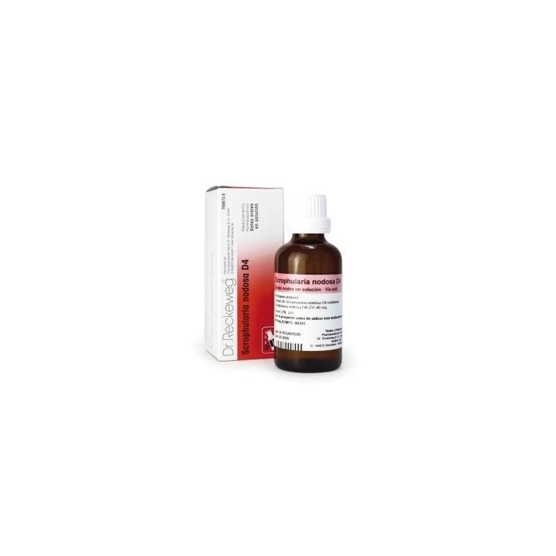 Dr. Reckeweg Scrophularia Nodosa D4 (50 ml) | Farmacia Tuset