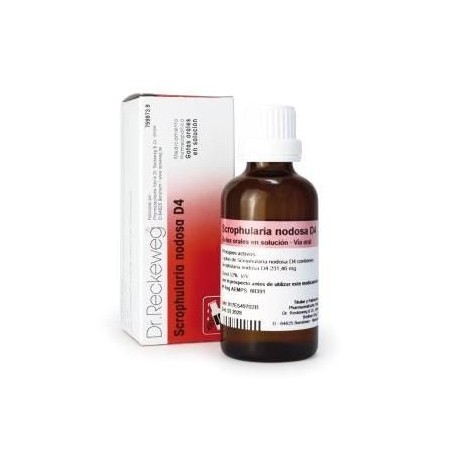 Dr. Reckeweg Scrophularia Nodosa D4 (50 ml) | Farmacia Tuset