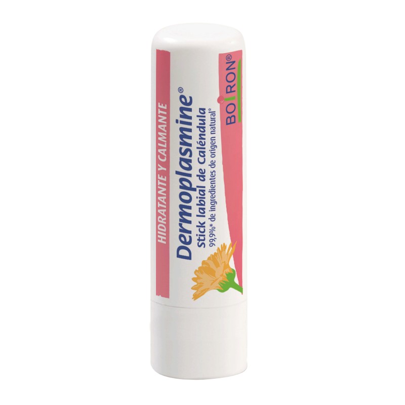 Dermoplasmine stick labial 4 gr | Farmacia Tuset