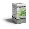 ABOCA FINOCARBO PLUS 500 MG (50 CÁPSULAS)