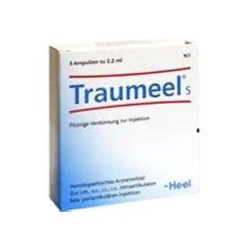Heel Traumeel S (5 ampollas) | Farmacia Tuset