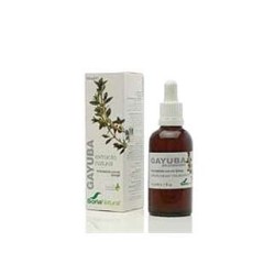 Soria Natural Gayuba Extracto S XXI 50ML | Farmacia Tuset