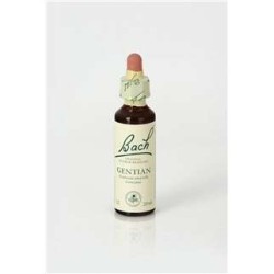 GENTIAN 20 ML FLORES BACH