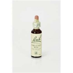 CHESTNUT BUD 20 ML FLORES BACH