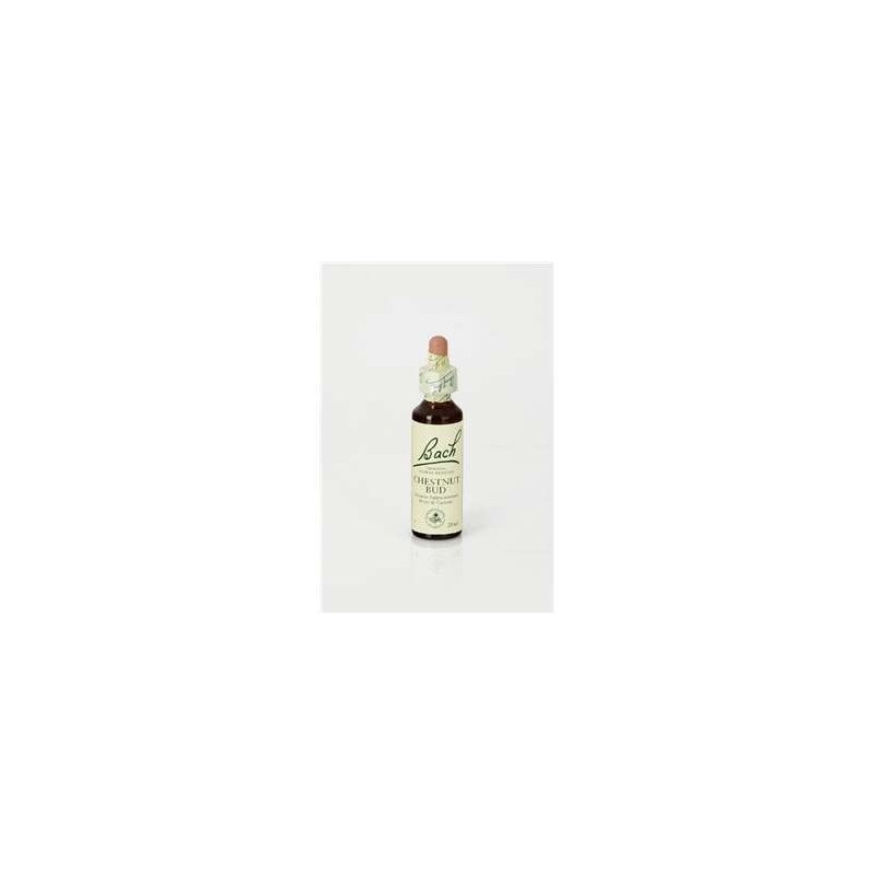 CHESTNUT BUD 20 ML FLORES BACH