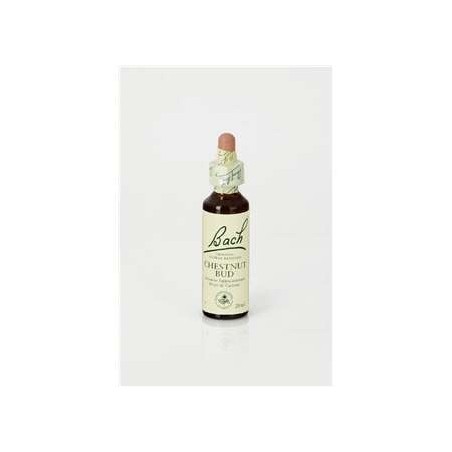 CHESTNUT BUD 20 ML FLORES BACH