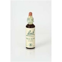 WILD ROSE 20 ML FLORES BACH