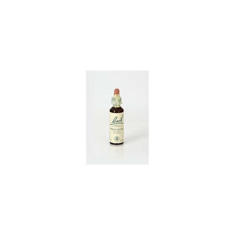 WILD ROSE 20 ML FLORES BACH