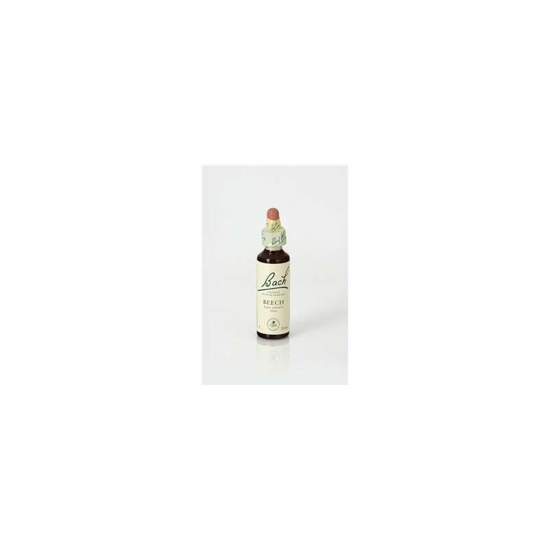 BEECH 20 ML FLORES BACH