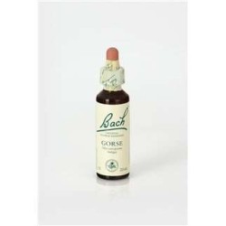 GORSE 20 ML FLORES BACH