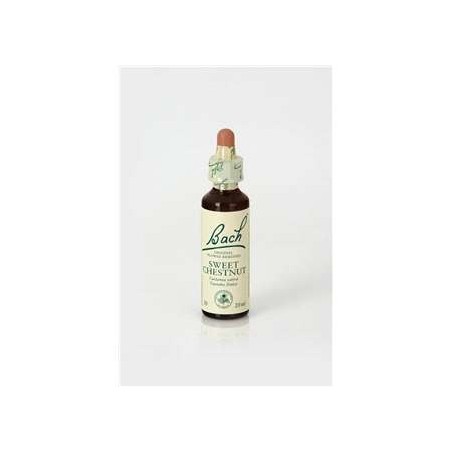 SWEET CHESTNUT 20 ML FLORES BACH