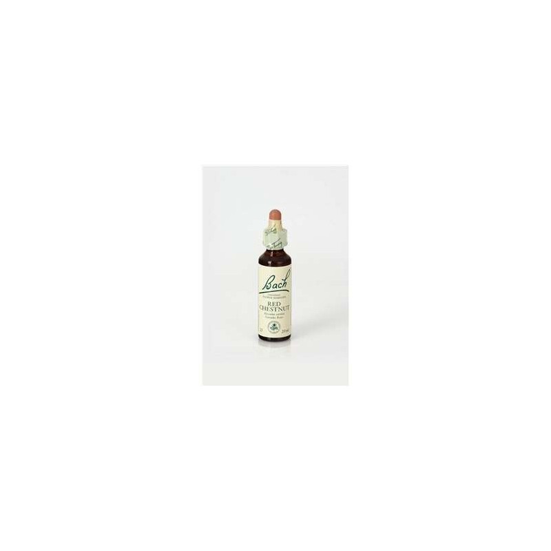 RED CHESTNUT 20 ML FLORES BACH