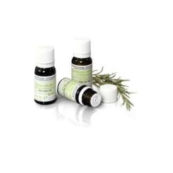 PRANAROM ACEITE ESENCIAL VERBENA EXÓTICA  10ML