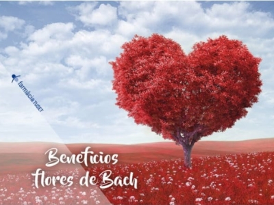 Las flores de Bach